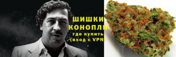 PSILOCYBIN Пролетарск