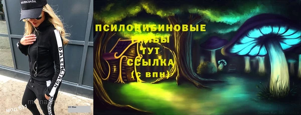 молекула духа Протвино