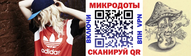 Псилоцибиновые грибы GOLDEN TEACHER  Ветлуга 